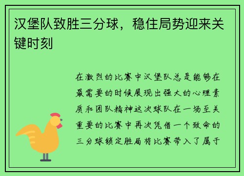 汉堡队致胜三分球，稳住局势迎来关键时刻